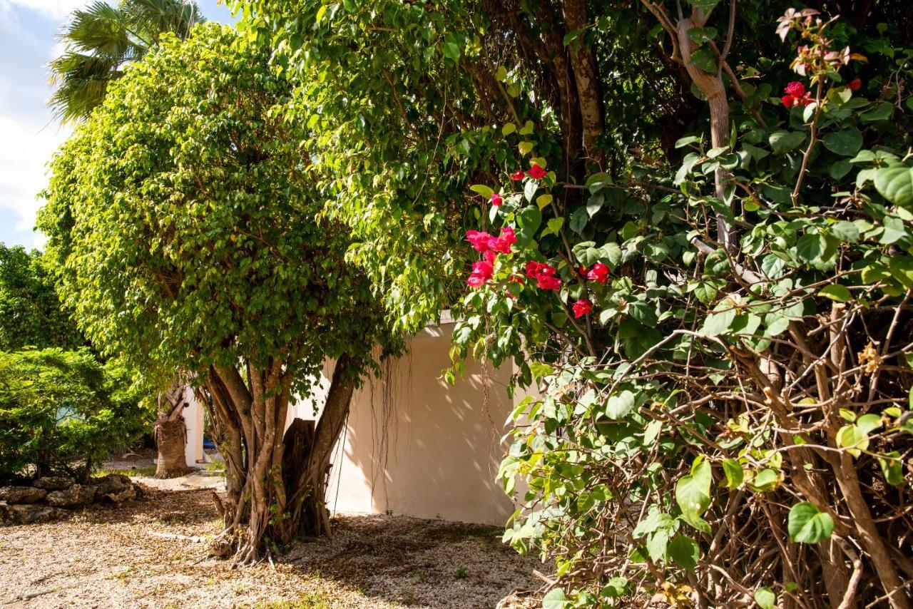 Hamlet Oasis Resort Κράλεντικ Εξωτερικό φωτογραφία