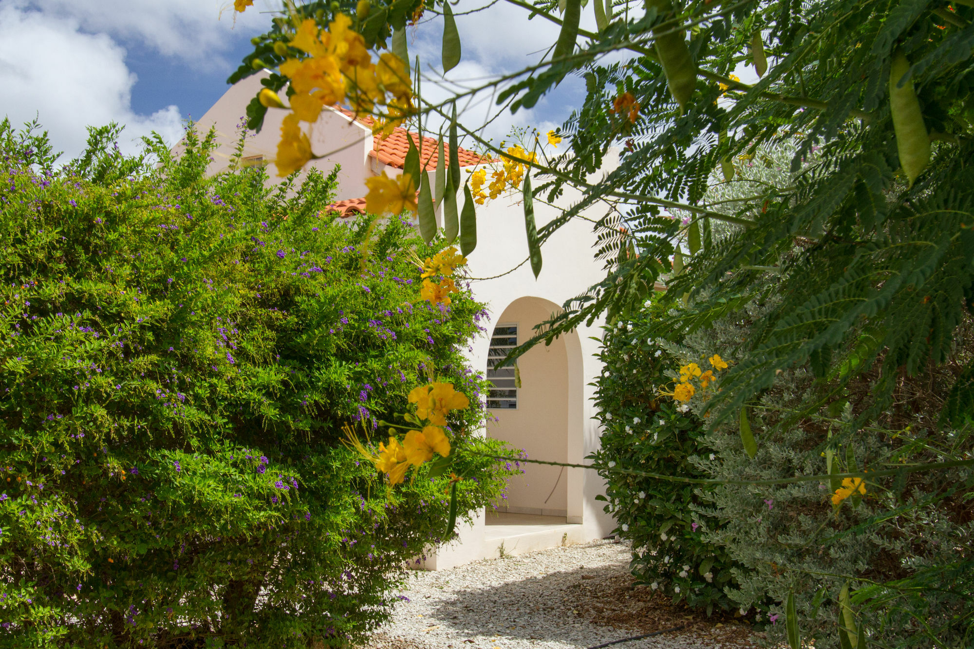 Hamlet Oasis Resort Κράλεντικ Εξωτερικό φωτογραφία
